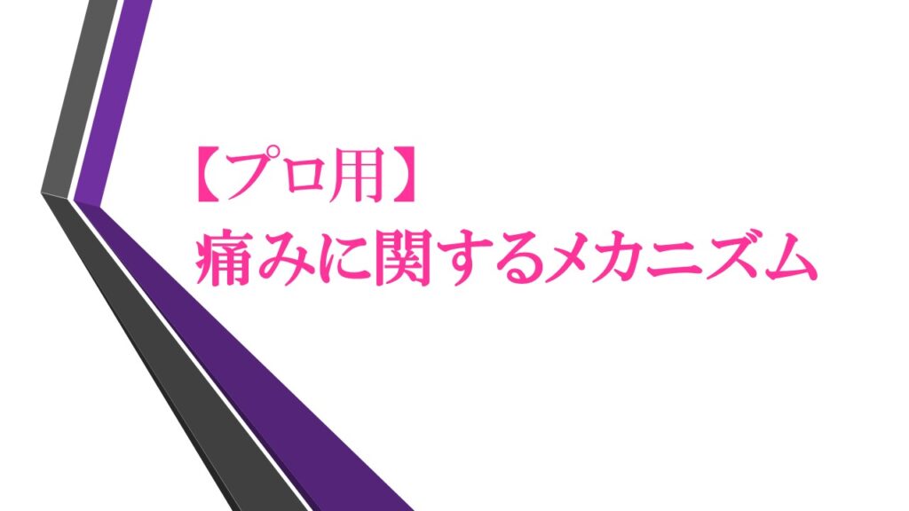 『【プロ用】痛みに関するメカニズム』のロゴ画像